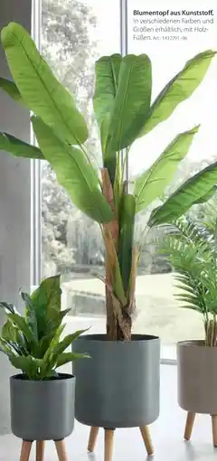 Zurbrüggen Blumentopf aus Kunststoff Angebot