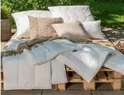 Zurbrüggen CENTA-STAR Sommerbett ROYAL Angebot