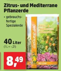 Thomas Philipps Zitrus- und Mediterrane Pflanzerde Angebot