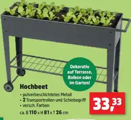 Thomas Philipps Hochbeet Angebot