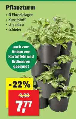 Thomas Philipps Pflanzturm Angebot