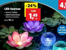 Thomas Philipps LED-Seerose Angebot