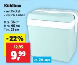 Thomas Philipps Kühlbox Angebot