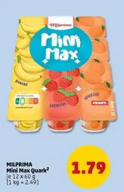 PENNY MILPRIMA Mini Max Quark² Angebot