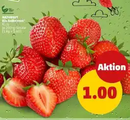 PENNY Bio Erdbeeren Angebot