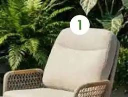 Pflanzen Kölle Kölle Loungesessel Maui Angebot