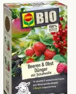 Pflanzen Kölle Compo Bio Beeren-& Obstdünger Angebot