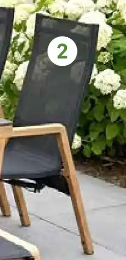 Pflanzen Kölle Siena Garden Hochlehnersessel Catania Angebot