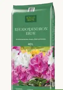 Pflanzen Kölle Kölle's Beste Rhododendron-Erde Angebot