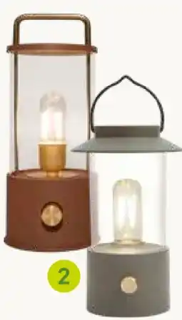 Pflanzen Kölle LED Laterne Angebot