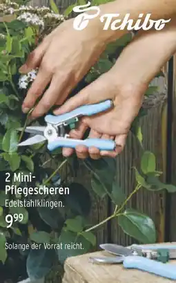 Famila Nord West Tchibo 2 Mini Pflegescheren Angebot