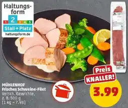PENNY MÜHLENHOF Frisches Schweine-Filet Angebot