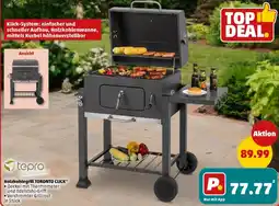 PENNY tepro Holzkohlegrill TORONTO CLICK Angebot