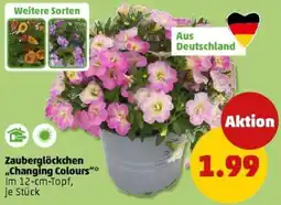 PENNY Zauberglöckchen ,,Changing Colours" Angebot