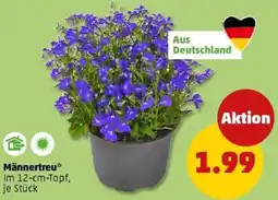 PENNY Männertreu Angebot