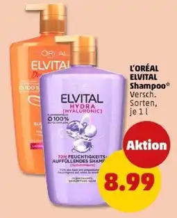 PENNY L'ORÉAL ELVITAL Shampoo Angebot