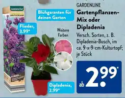 Aldi Süd GARDENLINE Gartenpflanzen Mix oder Dipladenia Angebot