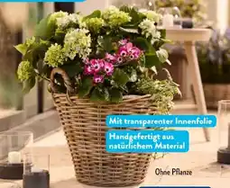 Aldi Süd Belavi Rattan-Pflanztopf Angebot