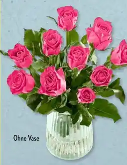 Aldi Süd Rosen Angebot