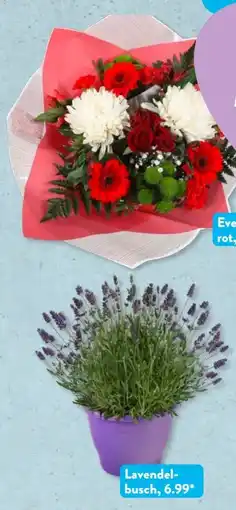 Aldi Süd Gardenline Muttertags-Schnittblumen Angebot