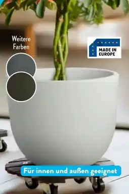 Aldi Süd Belavi Pflanzgefäß Angebot