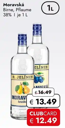 Travel Free Moravská Angebot