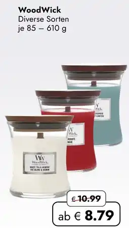 Travel Free WoodWick Angebot