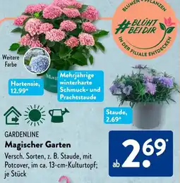 Aldi Süd GARDENLINE Magischer Garten Angebot