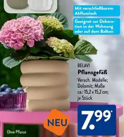 Aldi Süd BELAVI Pflanzgefäß Angebot