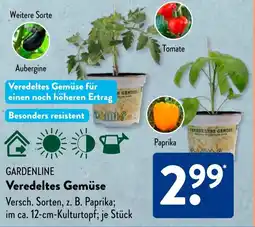 Aldi Süd GARDENLINE Veredeltes Gemüse Angebot