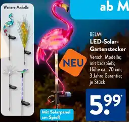 Aldi Süd BELAVI LED-Solar Gartenstecker Angebot