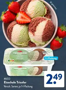 Aldi Süd MUCCI Eisschale Tricolor Angebot