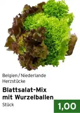 CAP Markt Blattsalat-Mix mit Wurzelballen Angebot