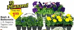 Jawoll Beet- & Balkonmix Angebot