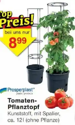 Jawoll Prosperplast Tomaten Pflanztopf Angebot
