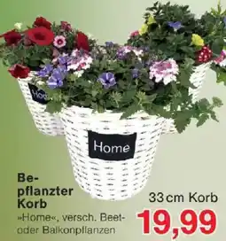 Jawoll Bepflanzter Korb Angebot