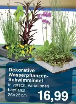 Jawoll Dekorative Wasserpflanzen Schwimminsel Angebot