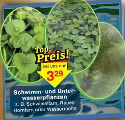 Jawoll Schwimm- und Unterwasserpflanzen Angebot