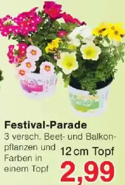 Jawoll Festival-Parade Angebot