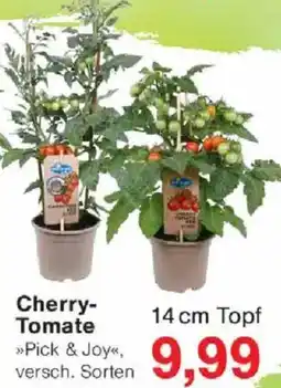 Jawoll Cherry Tomate Angebot