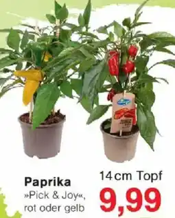 Jawoll Paprika Angebot