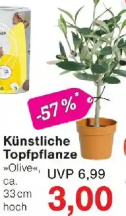 Jawoll Künstliche Topfpflanze Angebot