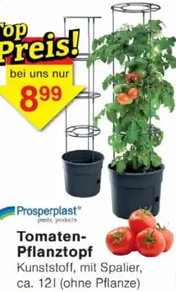 Wiglo Wunderland Prosperplast Tomaten Pflanztopf Angebot
