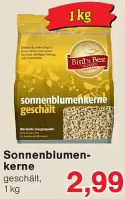 Wiglo Wunderland Sonnenblumenkerne Angebot