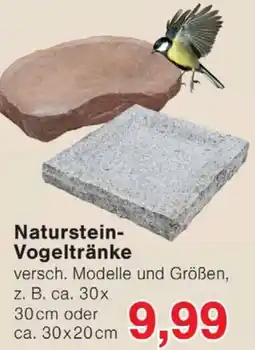Wiglo Wunderland Naturstein Vogeltränke Angebot
