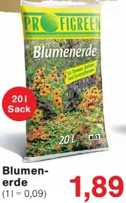 Wiglo Wunderland Blumenerde Angebot