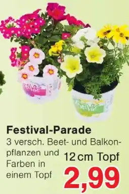 Wiglo Wunderland Festival-Parade Angebot