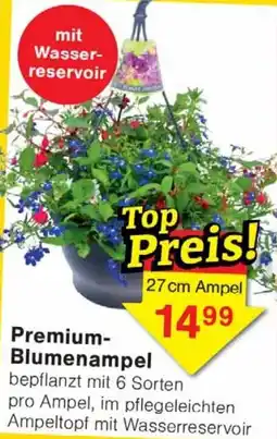 Wiglo Wunderland Premium Blumenampel Angebot