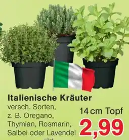 Wiglo Wunderland Italienische Kräuter Angebot