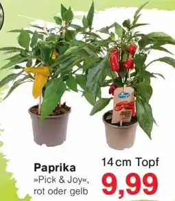 Wiglo Wunderland Paprika Angebot